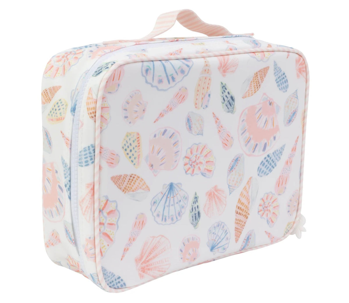The Lunchbox in Shells
