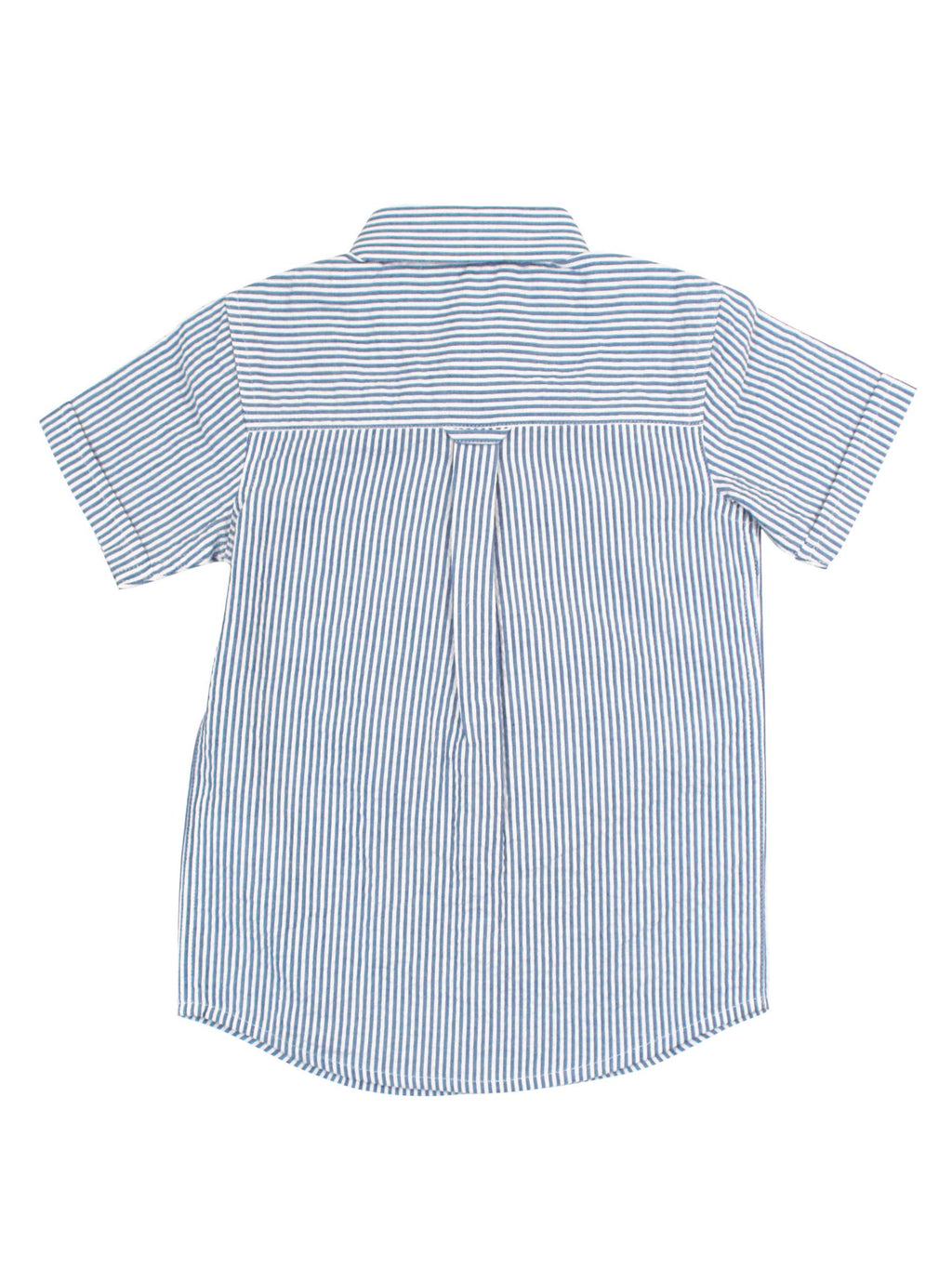 Blue Button Down Shirt